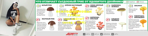 ГАЛЛЮЦИНОГЕННЫЕ ГРИБЫ Армянск