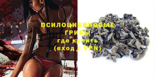 ГАЛЛЮЦИНОГЕННЫЕ ГРИБЫ Армянск