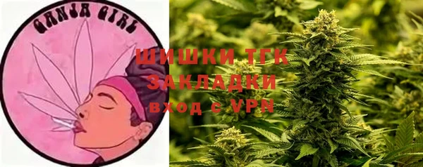 ГАЛЛЮЦИНОГЕННЫЕ ГРИБЫ Армянск