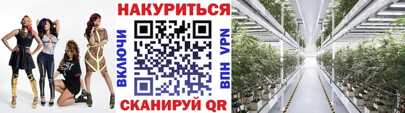 маркетплейс официальный сайт  Маркс  Бошки Шишки THC 21% 